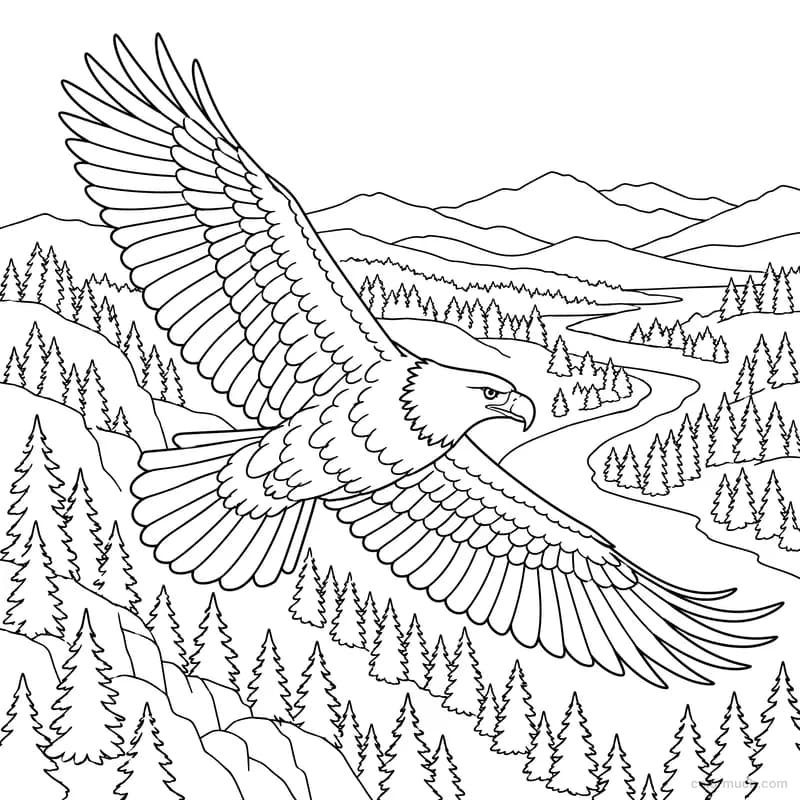Bald Eagle Over Forest