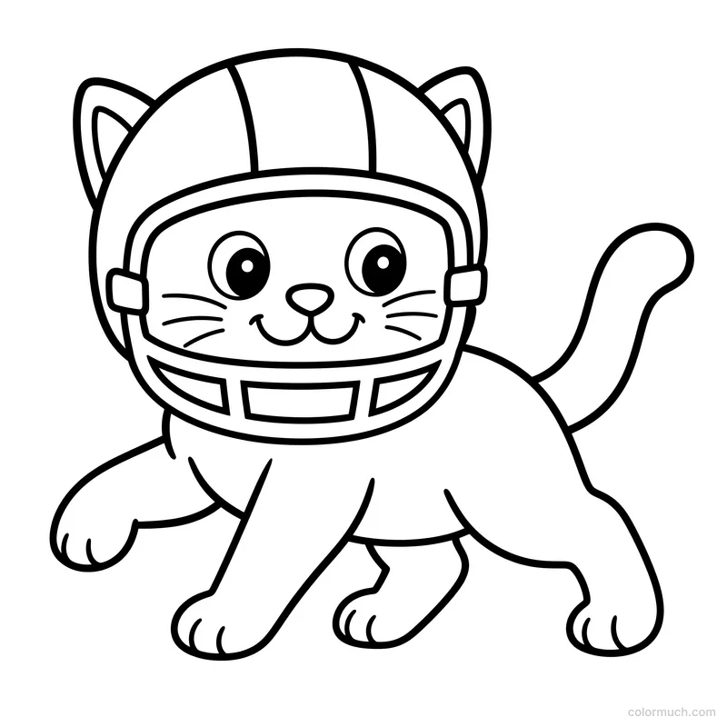 Cat in a Football Helmet