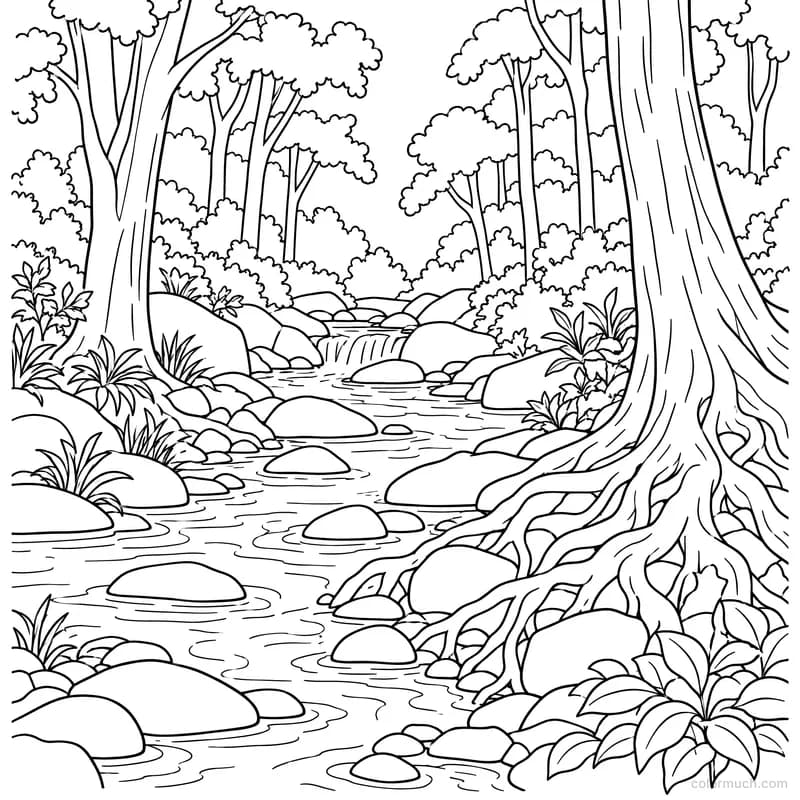 Woodland Creek at Noon