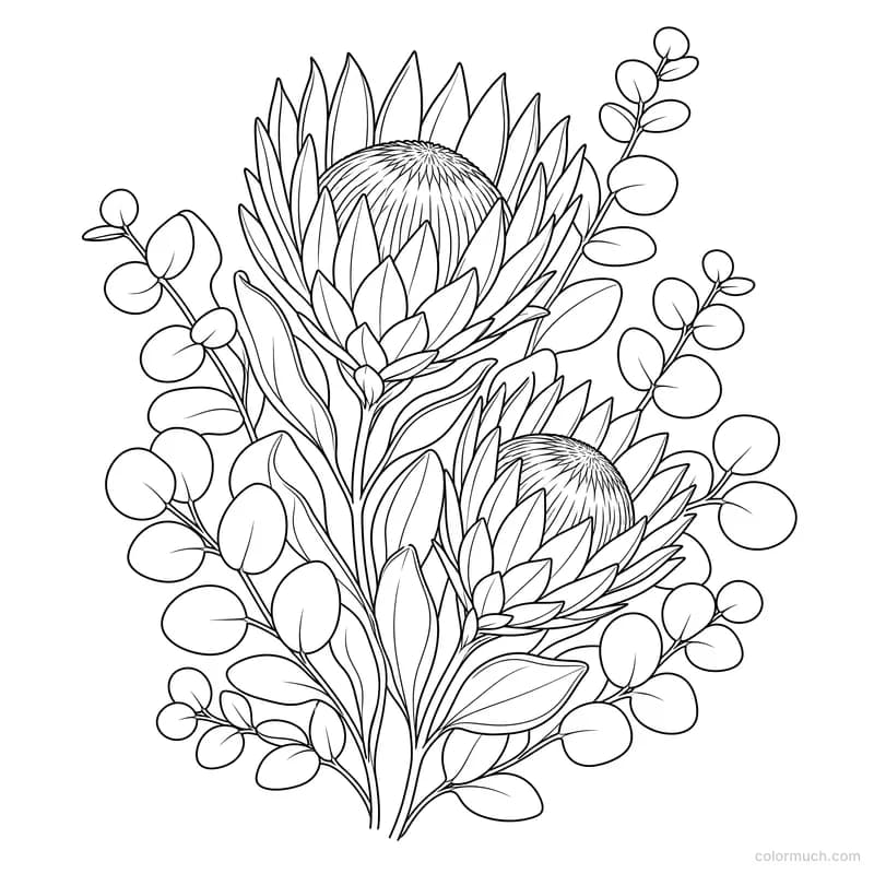 Protea and Eucalyptus Arrangement